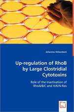 Up-regulation of RhoB by Large Clostridial Cytotoxins