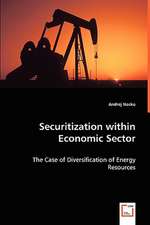 Securitization within Economic Sector