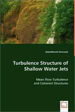 Turbulence Structure of Shallow Water Jets