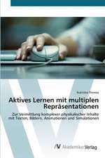 Aktives Lernen mit multiplen Repräsentationen