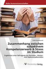 Zusammenhang zwischen subjektivem Kompetenzerwerb & Stress im Studium