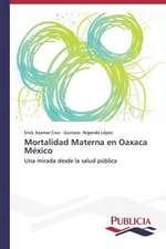 Mortalidad Materna En Oaxaca Mexico: Entrevistas