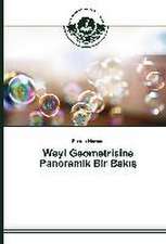 Weyl Geometrisine Panoramik Bir Bak: A Case Study from Turkey