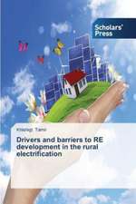 Drivers and Barriers to Re Development in the Rural Electrification: How to Bring Technology Innovation to Life?