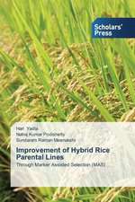 Improvement of Hybrid Rice Parental Lines