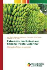 Estresses Mecanicos Em Banana 'Prata Catarina': Um Olhar Prospectivo