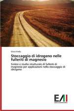 Stoccaggio Di Idrogeno Nelle Fulleriti Di Magnesio: Da Woodstock Al Grunge