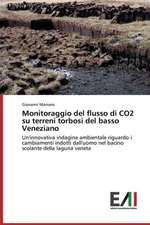 Monitoraggio del Flusso Di Co2 Su Terreni Torbosi del Basso Veneziano: Puti Formirovaniya