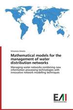 Mathematical Models for the Management of Water Distribution Networks: Caratterizzazione Fisica Di Un Sistema 3D Igrt