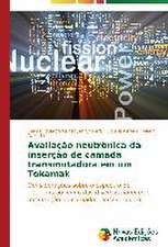 Avaliacao Neutronica Da Insercao de Camada Transmutadora Em Um Tokamak: Saberes-Atividade-Valores