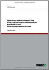 Bedeutung und Instrumente des Risikocontrollings im Rahmen eines kontinuierlichen Risikomanagementprozesses