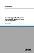 Finanzierung mittelständischer Unternehmen durch staatliche Förderprogramme