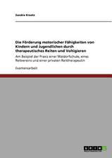 Die Förderung motorischer Fähigkeiten von Kindern und Jugendlichen durch therapeutisches Reiten und Voltigieren