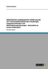 Möglichkeiten pädagogischer Förderung der Ich- und Sozialkompetenz bei 5-6-jährigen Integrationskindern mit Wahrnehmungsstörungen - betrachtet an einem Fallbeispiel