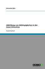 Abbildung von Abhängigkeiten in der Asset Allocation