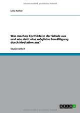 Was machen Konflikte in der Schule aus und wie sieht eine mögliche Bewältigung durch Mediation aus?