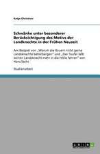 Schwänke unter besonderer Berücksichtigung des Motivs der Landknechte in der Frühen Neuzeit