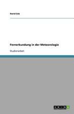 Fernerkundung in der Meteorologie