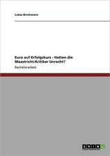 Euro auf Erfolgskurs - Hatten die Maastricht-Kritiker Unrecht?