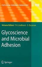 Glycoscience and Microbial Adhesion