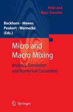 Micro and Macro Mixing: Analysis, Simulation and Numerical Calculation