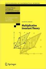 Multiplicative Invariant Theory