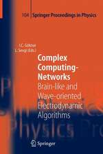 Complex Computing-Networks: Brain-like and Wave-oriented Electrodynamic Algorithms