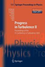 Progress in Turbulence II: Proceedings of the iTi Conference in Turbulence 2005