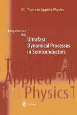 Ultrafast Dynamical Processes in Semiconductors