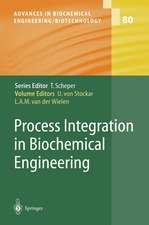 Process Integration in Biochemical Engineering