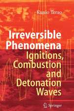 Irreversible Phenomena: Ignitions, Combustion and Detonation Waves