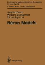 Néron Models