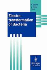 Electrotransformation of Bacteria