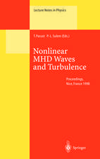 Nonlinear MHD Waves and Turbulence: Proceedings of the Workshop Held in Nice, France, 1–4 December 1998