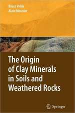 The Origin of Clay Minerals in Soils and Weathered Rocks