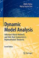 Dynamic Model Analysis