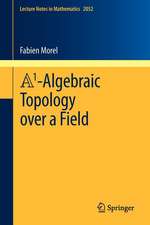 A1-Algebraic Topology over a Field