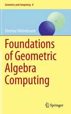 Foundations of Geometric Algebra Computing