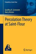 Percolation Theory at Saint-Flour