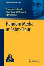 Random Media at Saint-Flour