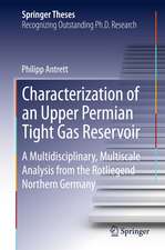 Characterization of an Upper Permian Tight Gas Reservoir