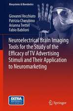 Neuroelectrical Brain Imaging Tools for the Study of the Efficacy of TV Advertising Stimuli and their Application to Neuromarketing