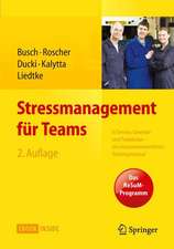 Stressmanagement für Teams: in Service, Gewerbe und Produktion - Ein ressourcenorientiertes Trainingsmanual