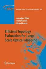 Efficient Topology Estimation for Large Scale Optical Mapping