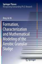 Formation, characterization and mathematical modeling of the aerobic granular sludge