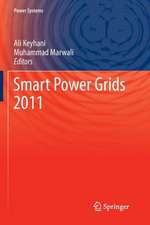 Smart Power Grids 2011