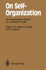 On Self-Organization