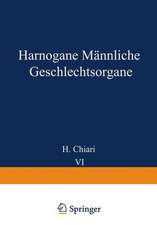 Harnorgane Männliche Geschlechtsorgane