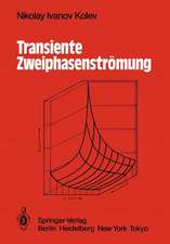 Transiente Zweiphasen-Strömung