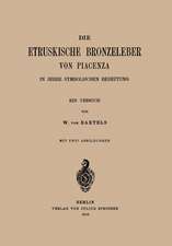 Die Etruskische Bkonzeleber von Piacenza: In Ihrer Symbolischen Bedeutung ein Versuch